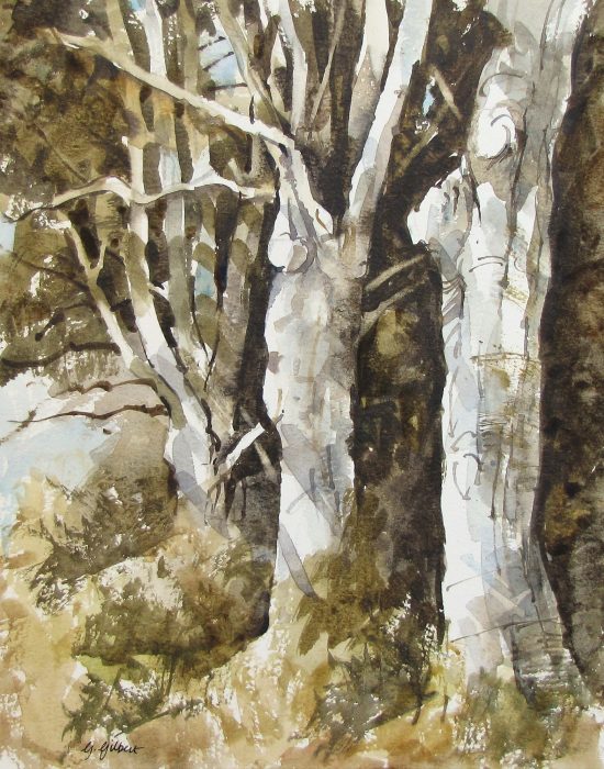 Balcaskie Beeches (watercolour)