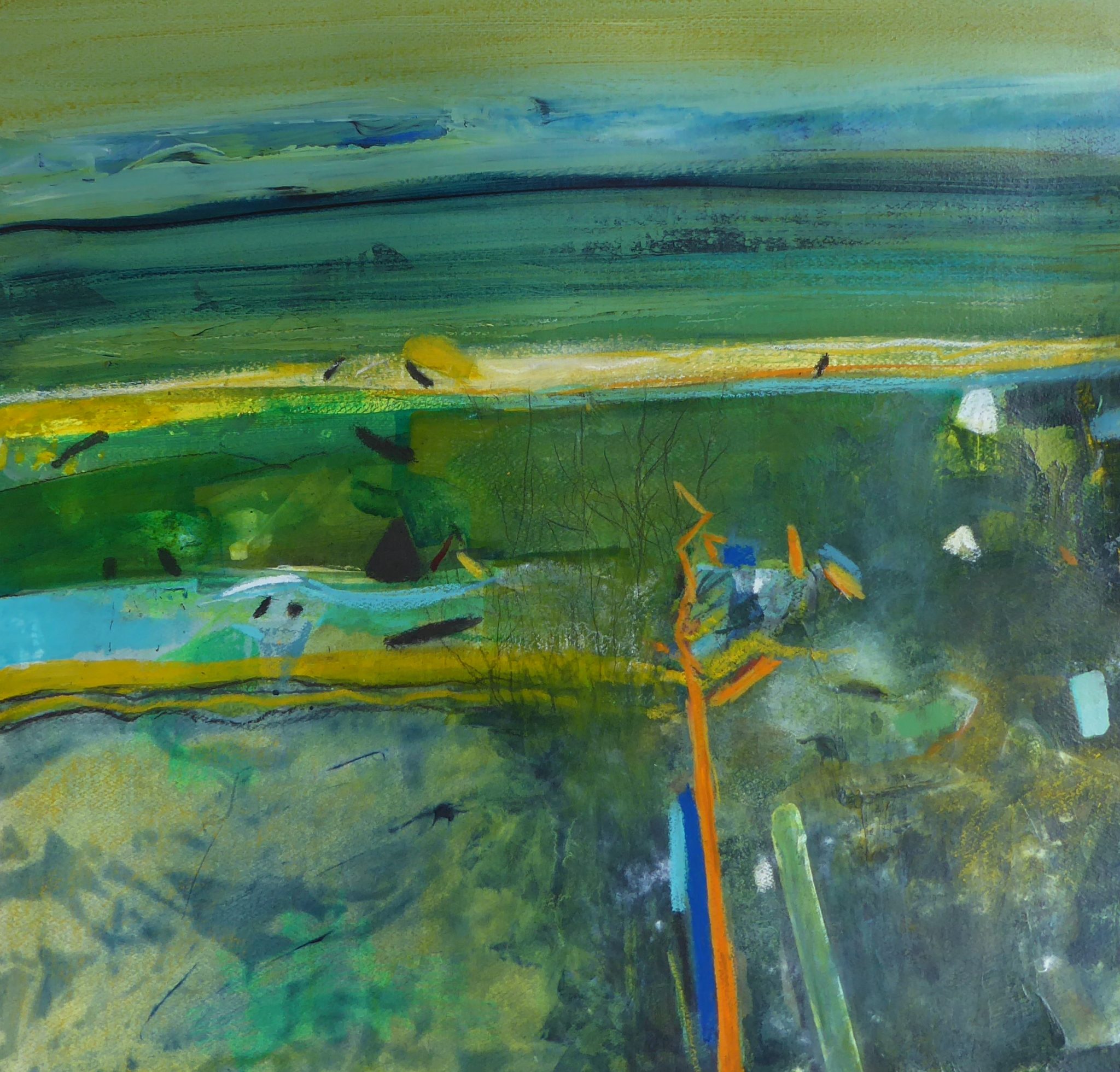 New Paintings Douglas Davies RSW RSW