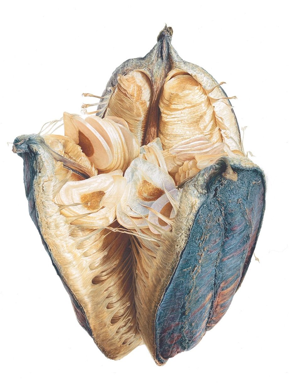 Main profile image for Robert McNeill RSW