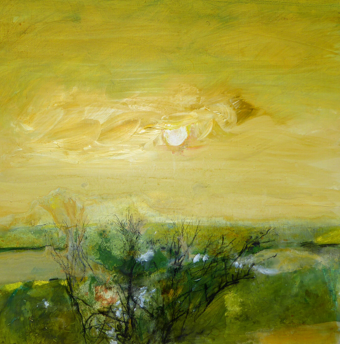 May Marshall Brown Award